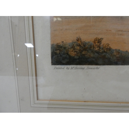 32 - After HerringFiho Da Puta, 1815 winner of the St Ledger.print in rosewood frame and a smaller print ... 