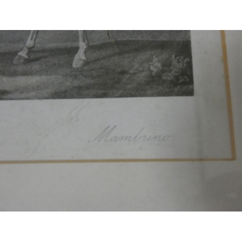 32 - After HerringFiho Da Puta, 1815 winner of the St Ledger.print in rosewood frame and a smaller print ... 