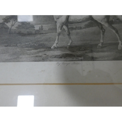 32 - After HerringFiho Da Puta, 1815 winner of the St Ledger.print in rosewood frame and a smaller print ... 