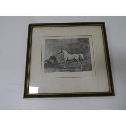 32 - After HerringFiho Da Puta, 1815 winner of the St Ledger.print in rosewood frame and a smaller print ... 