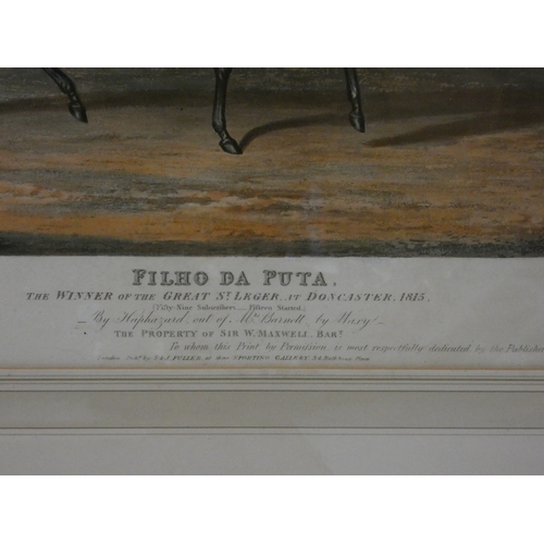 32 - After HerringFiho Da Puta, 1815 winner of the St Ledger.print in rosewood frame and a smaller print ... 