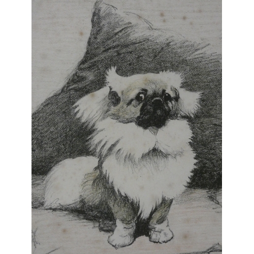 46 - Cecil Aldin, British 1870-1935.Study of Dogs.signed lithograph.