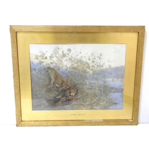 50 - British School in the manner of Archibald Thorburn.Tigers (A Right and Left).unsigned watercolour, 4... 