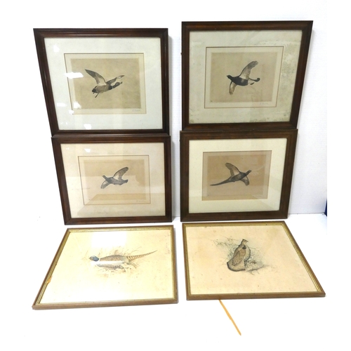 56 - R. Denholm, British.Flying Game Birds.four print etchings, framed and glazed and two others similar,... 