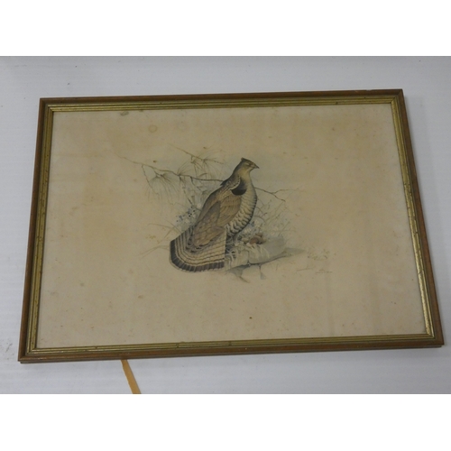 56 - R. Denholm, British.Flying Game Birds.four print etchings, framed and glazed and two others similar,... 