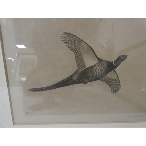 56 - R. Denholm, British.Flying Game Birds.four print etchings, framed and glazed and two others similar,... 