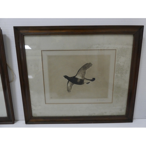 56 - R. Denholm, British.Flying Game Birds.four print etchings, framed and glazed and two others similar,... 