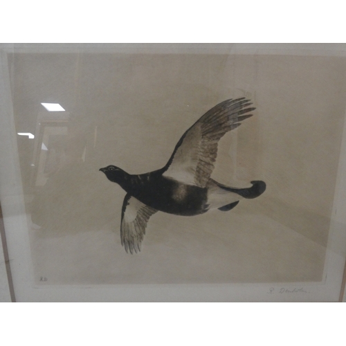 56 - R. Denholm, British.Flying Game Birds.four print etchings, framed and glazed and two others similar,... 