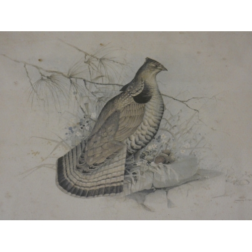 56 - R. Denholm, British.Flying Game Birds.four print etchings, framed and glazed and two others similar,... 