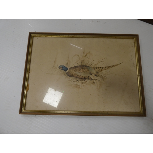 56 - R. Denholm, British.Flying Game Birds.four print etchings, framed and glazed and two others similar,... 