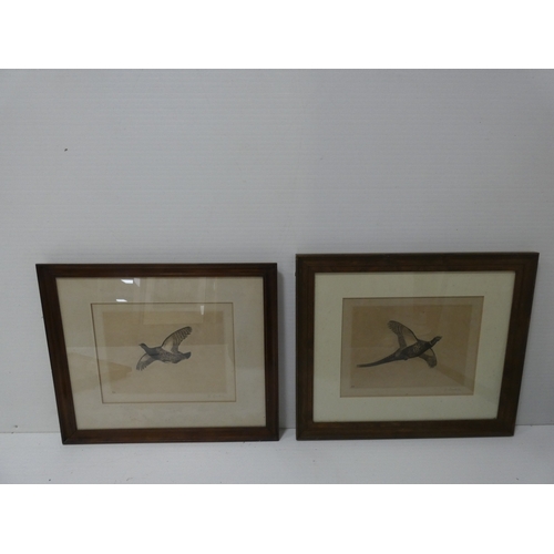 56 - R. Denholm, British.Flying Game Birds.four print etchings, framed and glazed and two others similar,... 