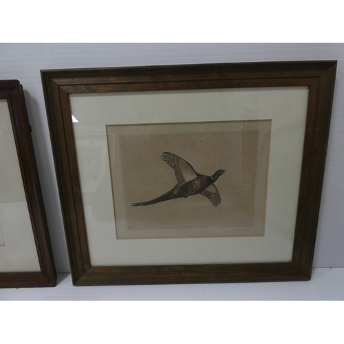 56 - R. Denholm, British.Flying Game Birds.four print etchings, framed and glazed and two others similar,... 