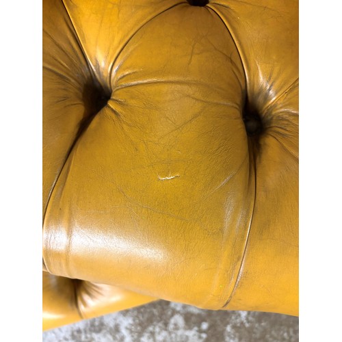 324 - Pair of chesterfield wingback chairs upholstered in mustard yellow leather. 113cm high, 80cm wide.