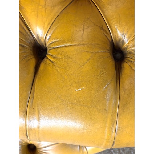 324 - Pair of chesterfield wingback chairs upholstered in mustard yellow leather. 113cm high, 80cm wide.