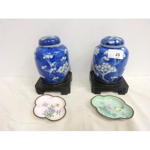 Lot 25        
