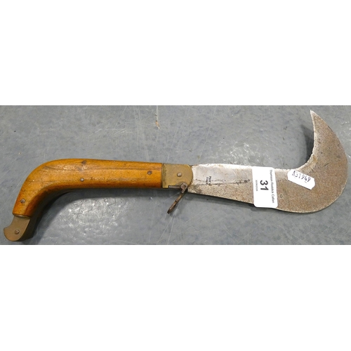 Lot 31        