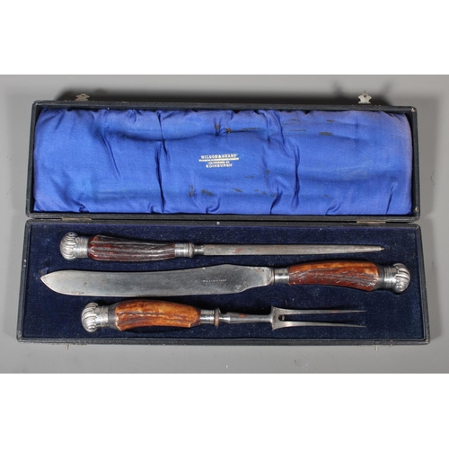19 - Wilson and Sharp of Edinburgh bone handled carving set.
