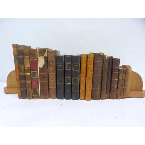 Lot 367       