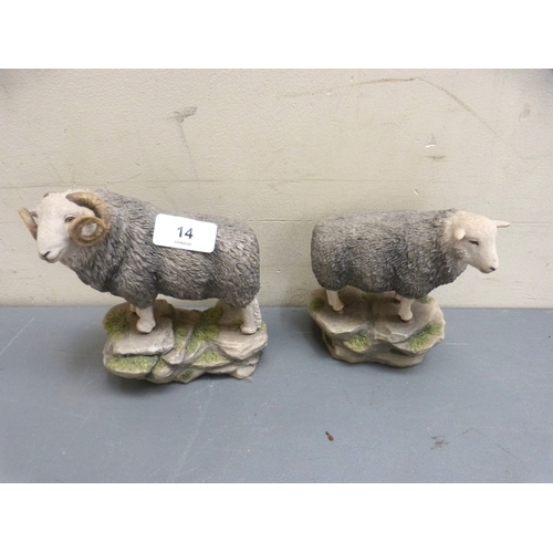 Lot 14        