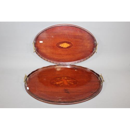 Lot 26        