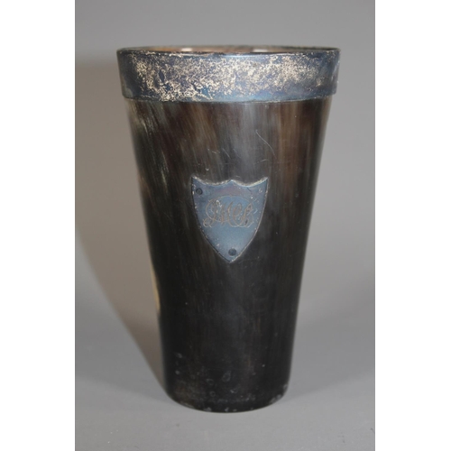 Lot 40        
