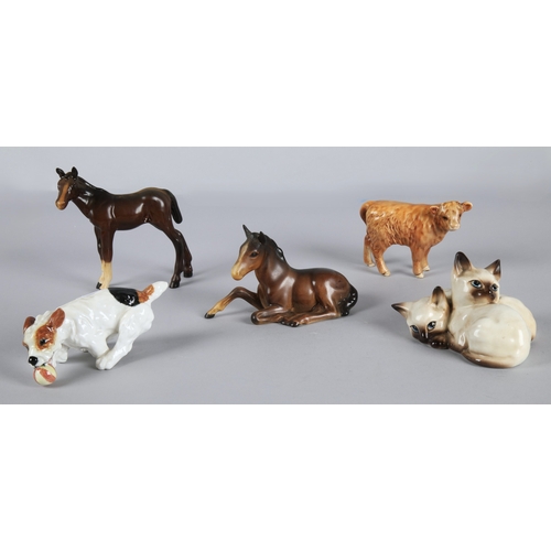 Lot 15        