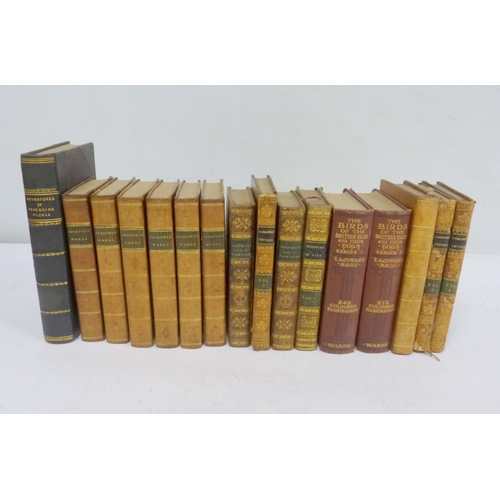 Lot 20        