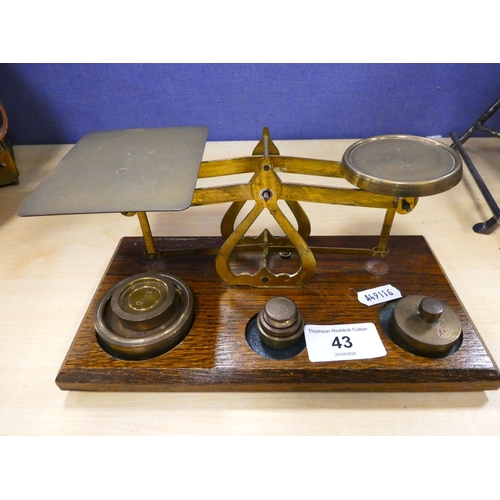 Lot 43        