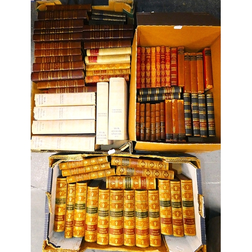 Lot 53        
