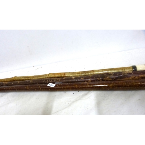42 - Three vintage walking sticks/crooks.