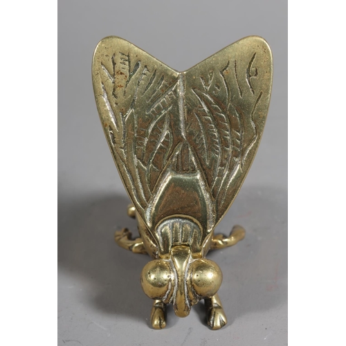 41 - Brass match holder modelled as a fly.