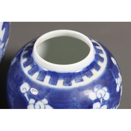 53 - Blue and white ginger jar, foliate decoration and a smaller with prunus decoration.&nbsp; (2)