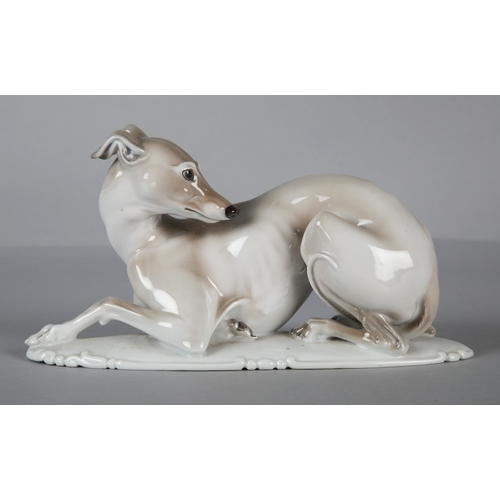 Lot 26        