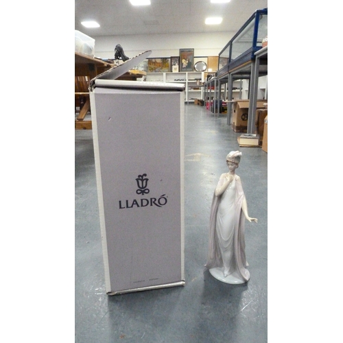 Lot 56        