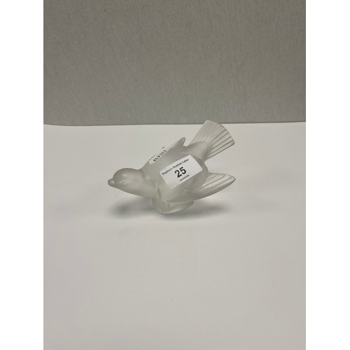 Lot 25        