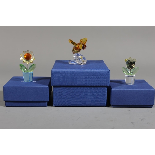 Lot 26        