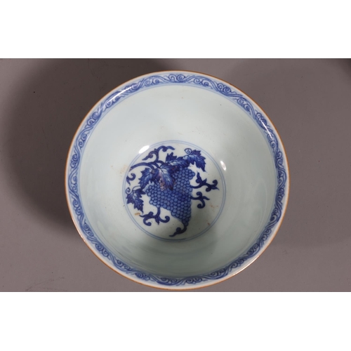 Chinese blue and white porcelain bowl decorated with fruiting grape ...
