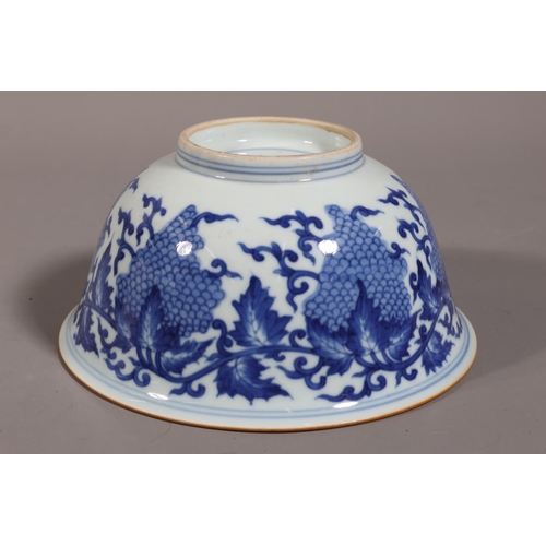 Chinese blue and white porcelain bowl decorated with fruiting grape ...
