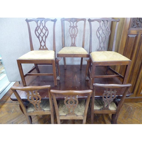 115 - Victorian mahogany telescopic dining table on cabriole pad feet legs with 6 chairs