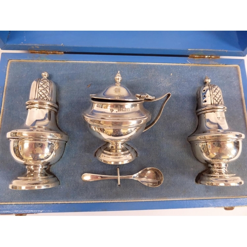 5 - Cased Garrard silver cruet set (B'ham 1989)