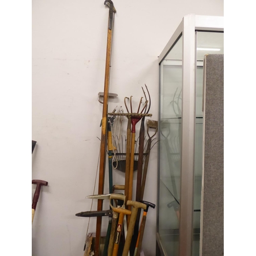 53 - Quantity of garden tools - long reach pruners, rakes, hoes, edging shears, hand tools etc.