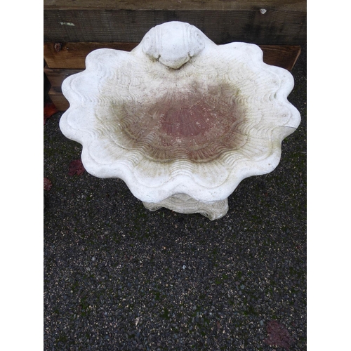 5 - Concrete conch shell bird bath