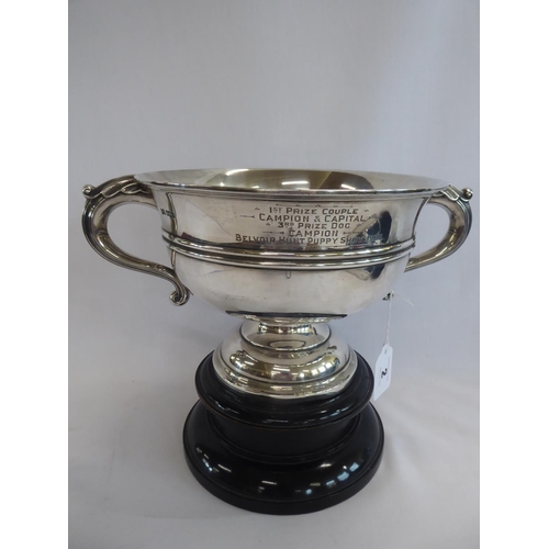 2 - Silver twin handled trophy cup - Belvoir Hunt Puppy Show 1925 - Walker & Hall, Sheffield 1924 (23.5 ... 