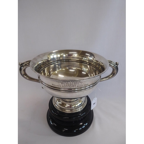 2 - Silver twin handled trophy cup - Belvoir Hunt Puppy Show 1925 - Walker & Hall, Sheffield 1924 (23.5 ... 