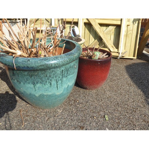 31 - Glazed planters (planted with peonies, hydrangea etc.) (3)