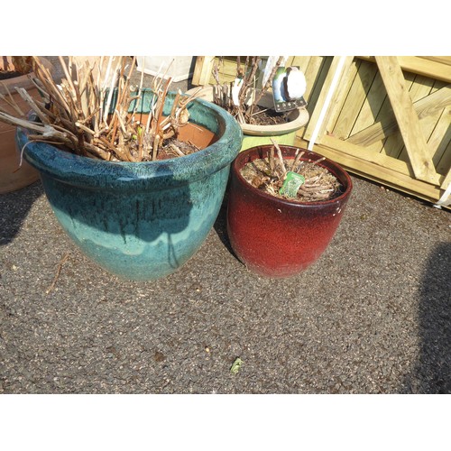 31 - Glazed planters (planted with peonies, hydrangea etc.) (3)