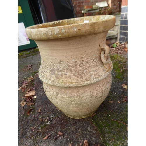 22 - Terracotta urn planter