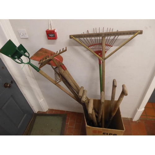 41 - Garden tools - triple headed hoe, shovels etc.