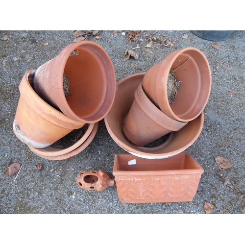 25 - Terracotta plant pots & pig (9)