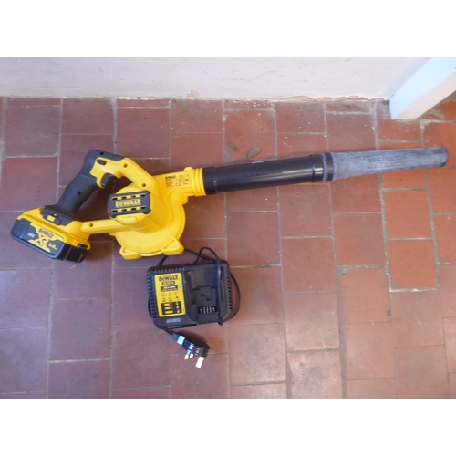 41 - Dewalt cordless mini leaf blower